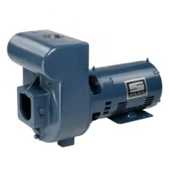 Pentair Sta-Rite D Series Cast Iron Pump 230V, 5 HP