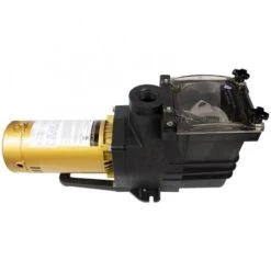 Doheny's Pool Pro Plus Inground Pump, 1.5 HP 115/230V 12 Doheny's Pool Pro Plus Inground Pump, 1.5 HP 115/230V -Haywarde Store 90555 b2020 1